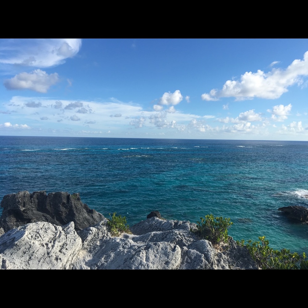 Meet your Posher, Ola